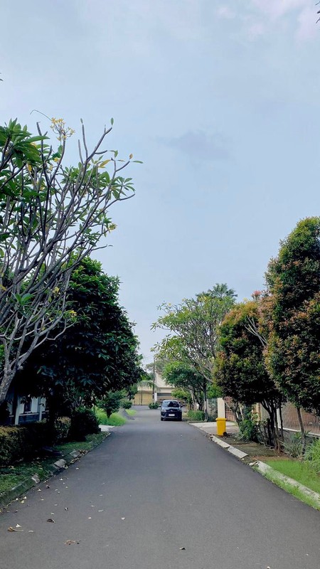 Mansion Mewah 3 Lantai di Sektor 1 Bintaro Jakarta Selatan - Hook, Kolam Renang, SHM, Furnished, Akses Tol 5 Menit