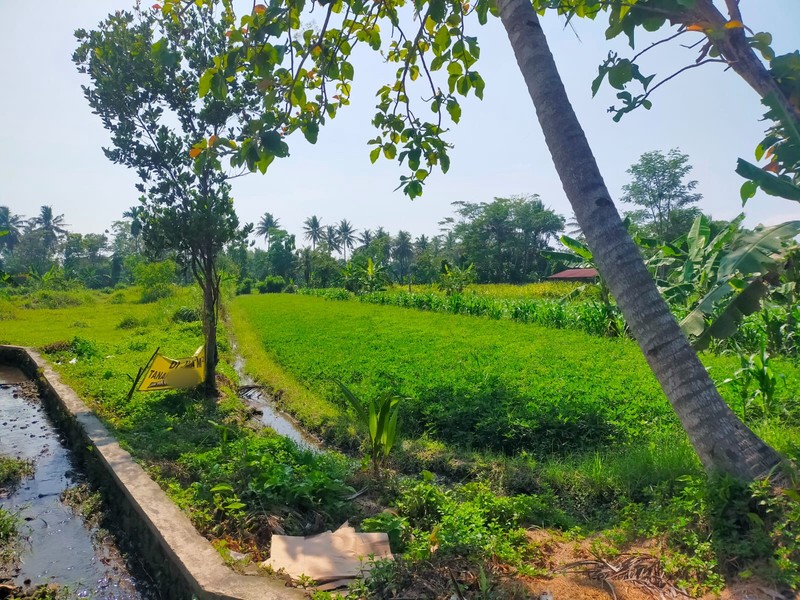 Dijual Tanah 2382 Meter Persegi Cocok Untuk Cluster/Investasi, Umbulmartani, Ngemplak, Sleman