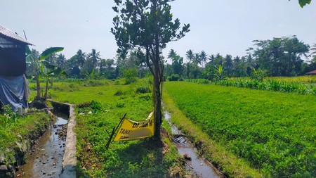 Dijual Tanah 2382 Meter Persegi Cocok Untuk Cluster/Investasi, Umbulmartani, Ngemplak, Sleman