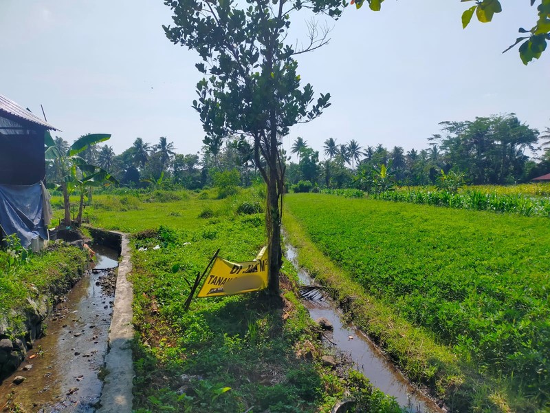 Dijual Tanah 2382 Meter Persegi Cocok Untuk Cluster/Investasi, Umbulmartani, Ngemplak, Sleman