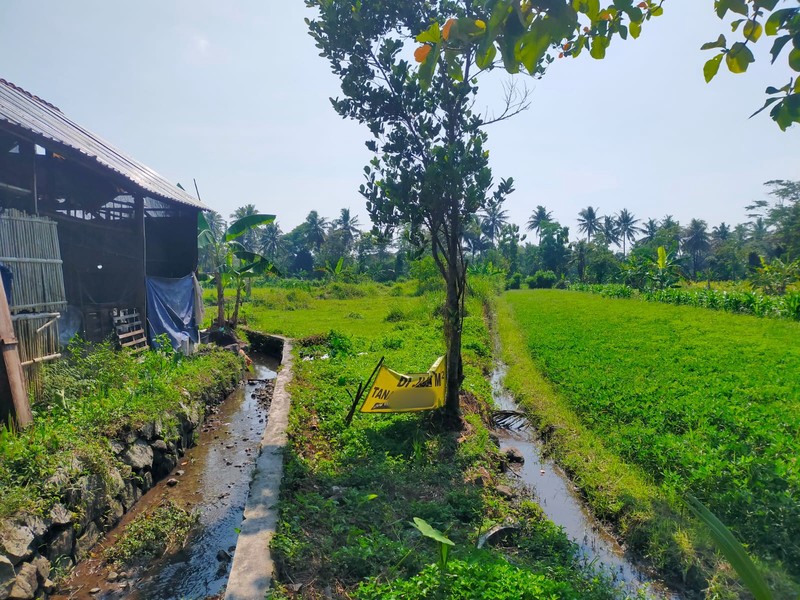 Dijual Tanah 2382 Meter Persegi Cocok Untuk Cluster/Investasi, Umbulmartani, Ngemplak, Sleman