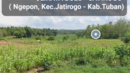 Dijual 1,6 Hektar Tanah Tuban Jawa Timur di Nol Jalan Raya Bulu - Jatirogo - Ngepon  - Kab. Tuban - Jawa Timur - Surat SHM - Lokasi Bagus Tanah Tambang Pasir Silica / Batako Cocok Untuk Usaha Tambang 