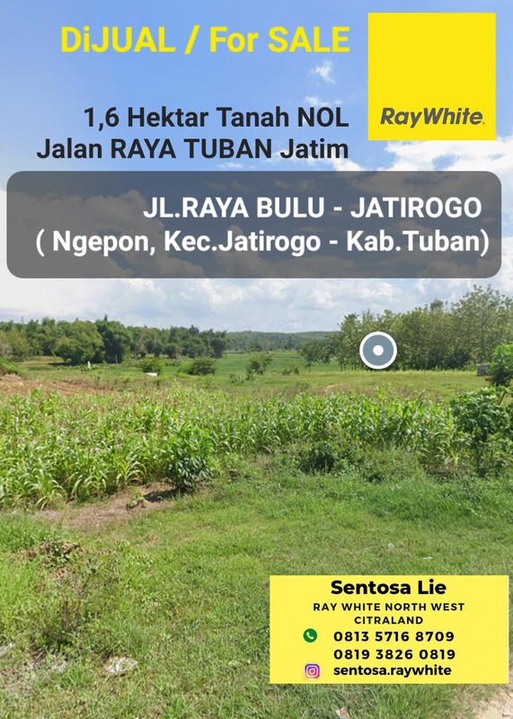 Dijual 1,6 Hektar Tanah Tuban Jawa Timur di Nol Jalan Raya Bulu - Jatirogo - Ngepon - Kab. Tuban - Jawa Timur - Surat SHM - Lokasi Bagus Tanah Tambang Pasir Silica / Batako Cocok Untuk Usaha Tambang