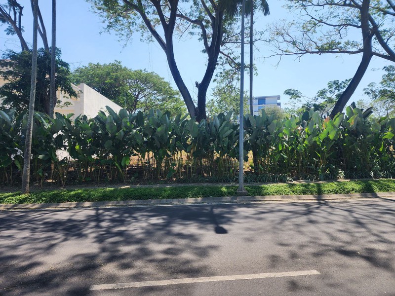 Tanah di Citraland Surabaya Golf Utama Surabaya Barat Dekat G Walk