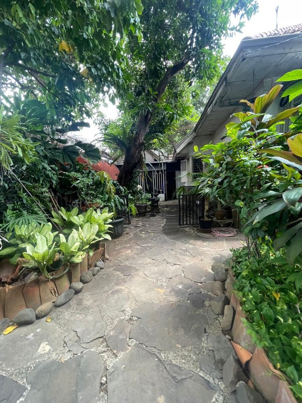 Rumah Hunian Dekat Pusat Kota, Di Daerah Menteng, Jakarta Pusat