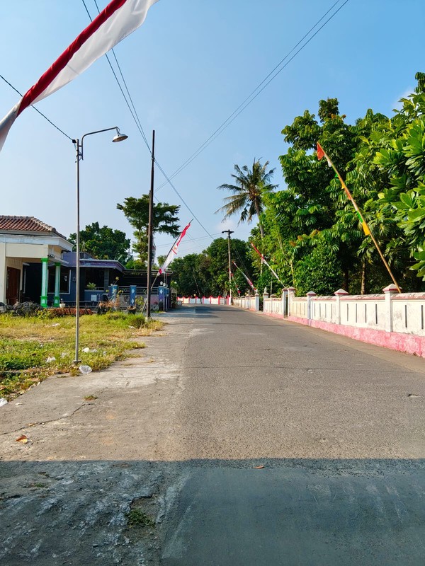 Tanah Sawah Di Jetak, Sidokarto, Godean, Sleman, Yogyakarta 
