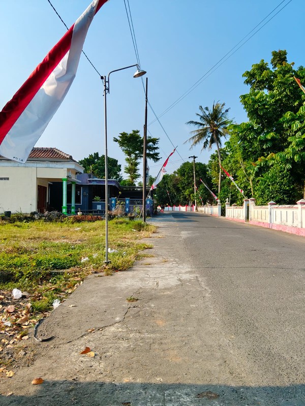 Tanah Sawah Di Jetak, Sidokarto, Godean, Sleman, Yogyakarta 