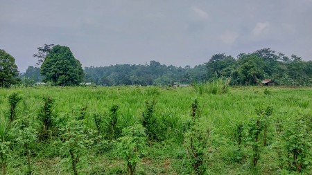 Tanah di Wanayasa Purwakarta, Jawa barat