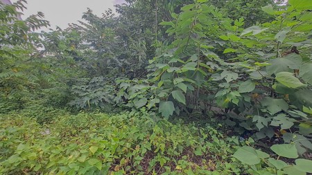 Tanah Tomang Grogol Petamburan