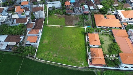 Leasehold - Tranquil 2000 sqm Leasehold Land with Rice Field View in Babakan, Canggu