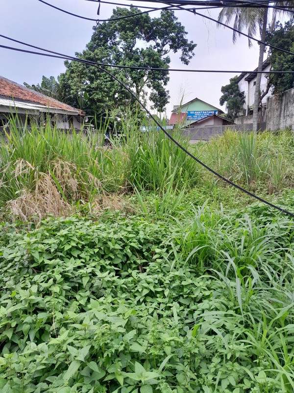 Kavling Siap Bangun Di Jl Ciputat Raya Kebayoran Lama Jakarta Selatan