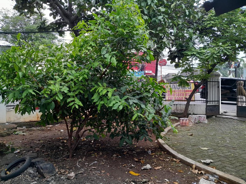 Kavling Siap Bangun Di Jl Ciputat Raya Kebayoran Lama Jakarta Selatan