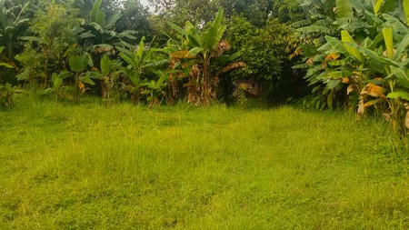 Dijual Tanah Lokasi Di Jl. Sadar, Jagakarsa, Jakarta Selatan