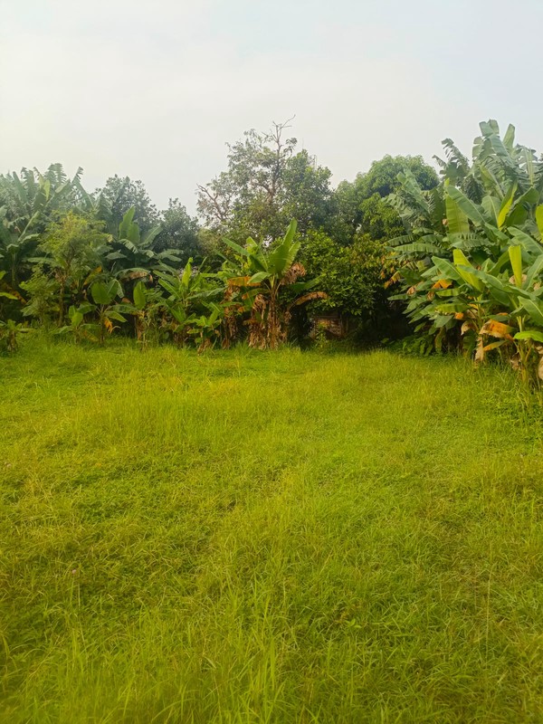 Dijual Tanah Lokasi Di Jl. Sadar, Jagakarsa, Jakarta Selatan