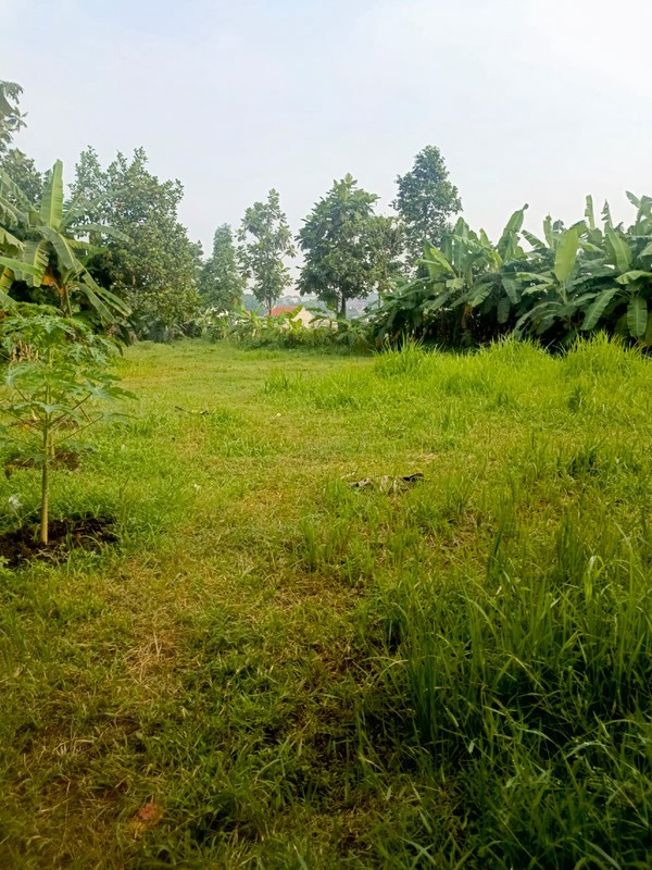 Dijual Tanah Lokasi Di Jl. Sadar, Jagakarsa, Jakarta Selatan