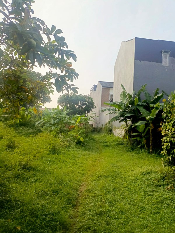 Dijual Tanah Lokasi Di Jl. Sadar, Jagakarsa, Jakarta Selatan