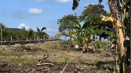 Dijual Tanah Lokasi Strategis Dekat Dengan Pantai Di Pantai Bumbang, Lombok Tengah, NTB