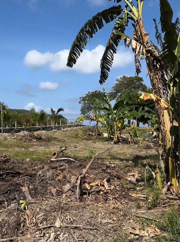 Dijual Tanah Lokasi Strategis Dekat Dengan Pantai Di Pantai Bumbang, Lombok Tengah, NTB