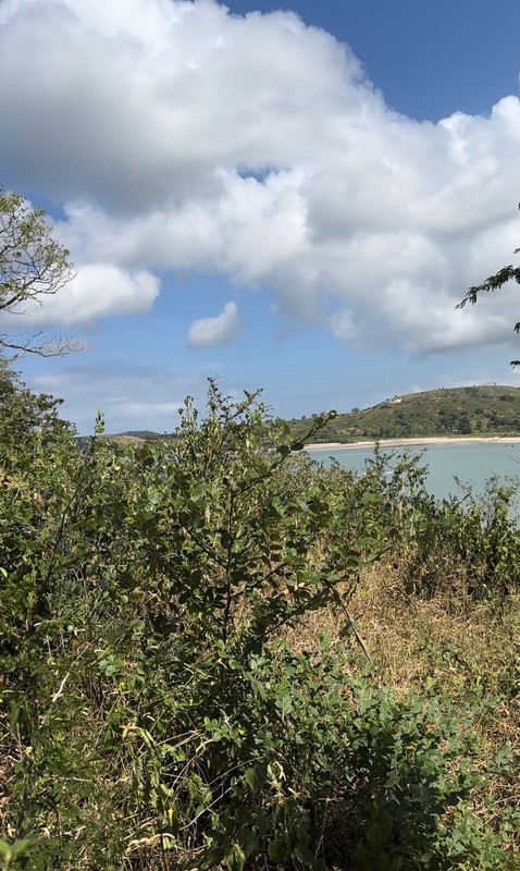 Dijual Tanah Lokasi Strategis Dekat Dengan Pantai Di Pantai Bumbang, Lombok Tengah, NTB