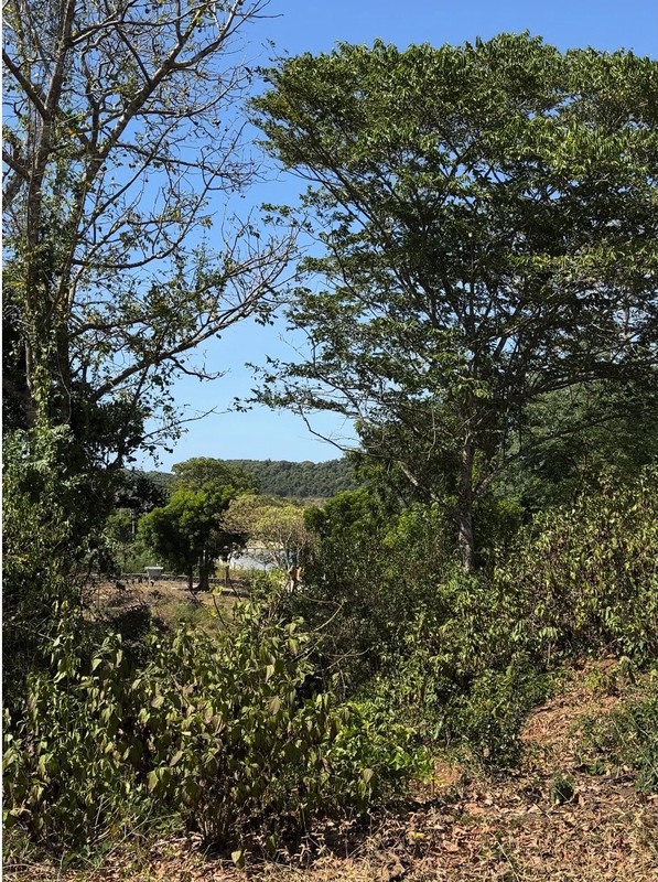 Dijual Tanah Lokasi Strategis Dekat Dengan Pantai Di Pantai Bumbang, Lombok Tengah, NTB