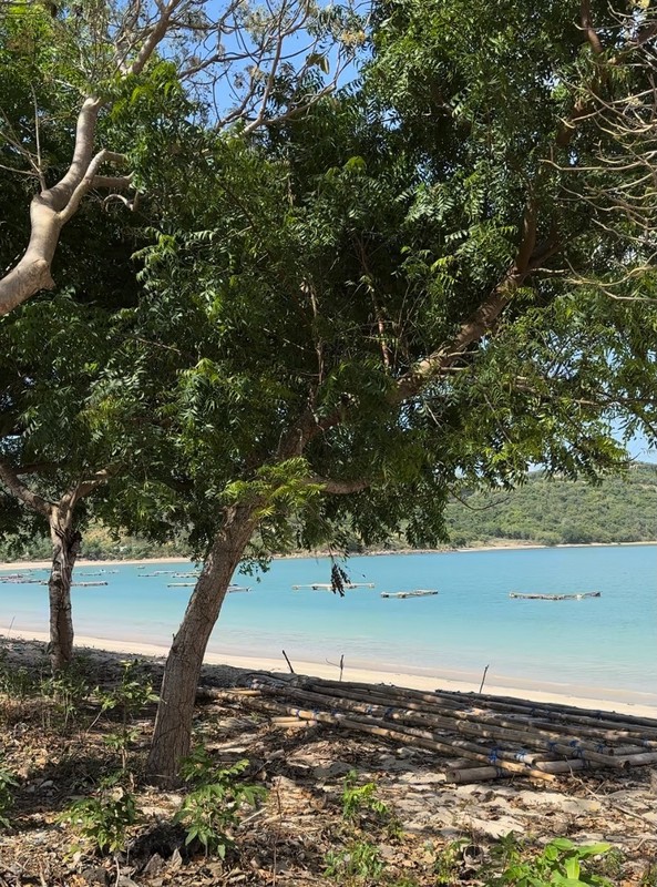 Dijual Tanah Lokasi Strategis Dekat Dengan Pantai Di Pantai Bumbang, Lombok Tengah, NTB