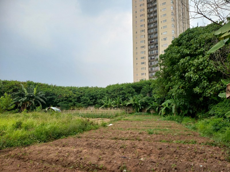 Tanah Harga di BAWAH NJOP di Sukaresmi, Cikarang Selatan, Bekasi!