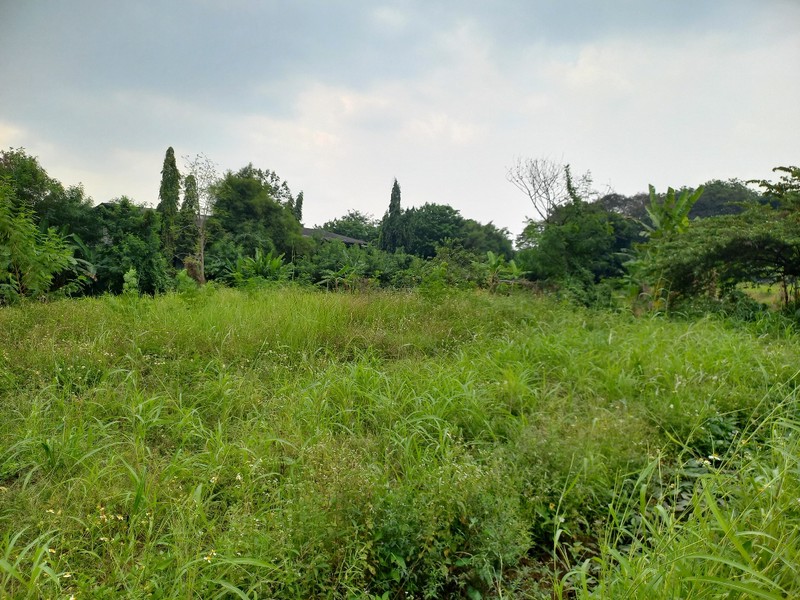 Tanah Harga di BAWAH NJOP di Sukaresmi, Cikarang Selatan, Bekasi!