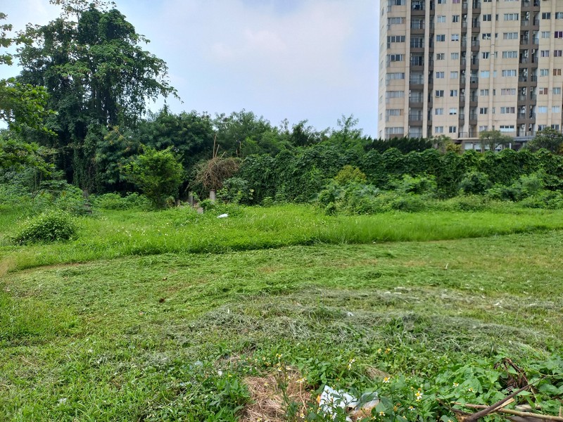 Tanah Harga di BAWAH NJOP di Sukaresmi, Cikarang Selatan, Bekasi!