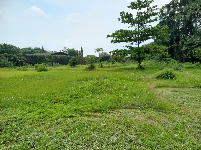 Tanah Harga di BAWAH NJOP di Sukaresmi, Cikarang Selatan, Bekasi!