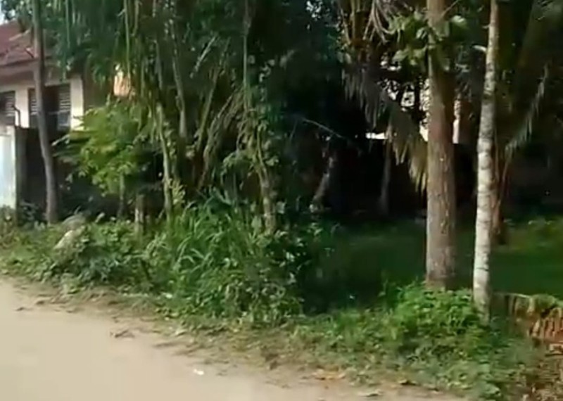 Kavling Siap Bangun Di Jl Jelajat, Pamarasan, Desa Damping Serang Banten