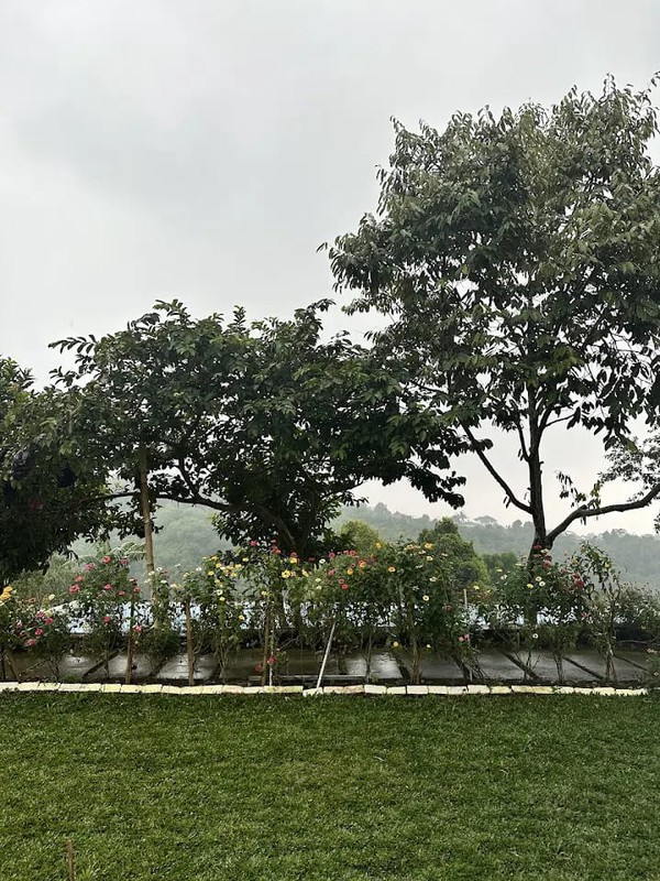 Villa Asri dengan Halaman Luas Lingkungan Nyaman @Ciawi, Bogor