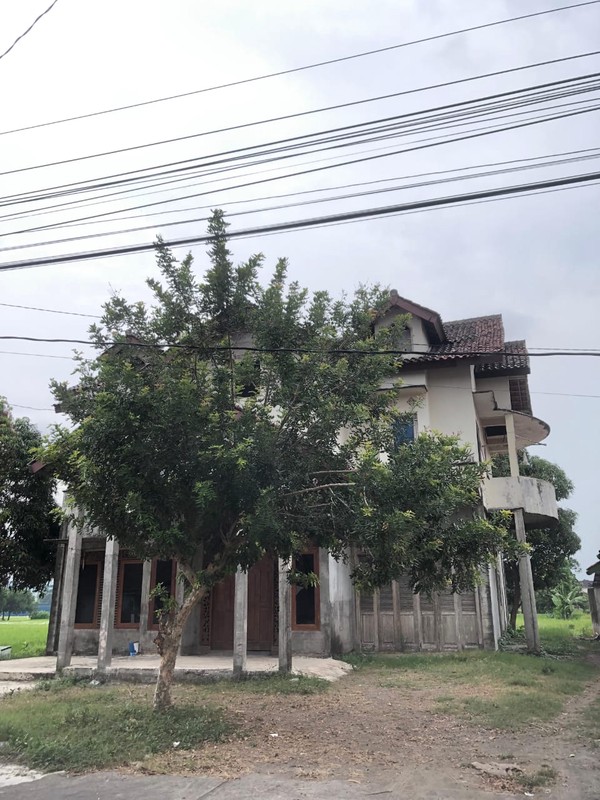 Dijual Tanah Bonus Bangunan 2 Lantai Di Prambanan Sleman View Sawah