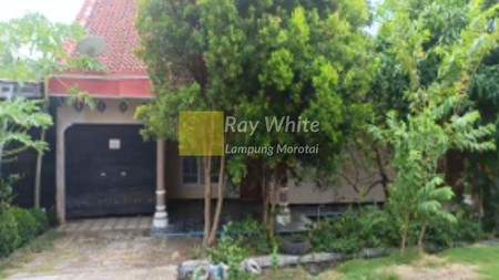 Dijual Cepat Rumah Murah Kalianda