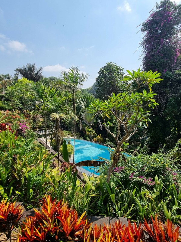 Leasehold Luxury 4000sqm Kediri Villa at Tabanan