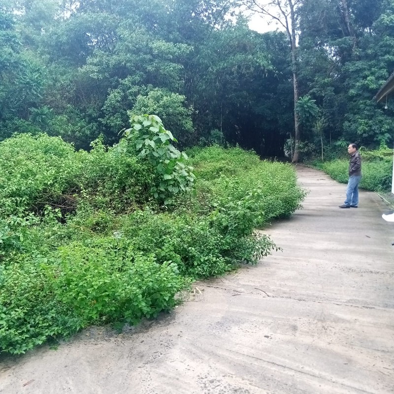 Tanah Pekarangan Hook Luas 1.363 Meter Persegi Di Sentra Berbah, Sleman