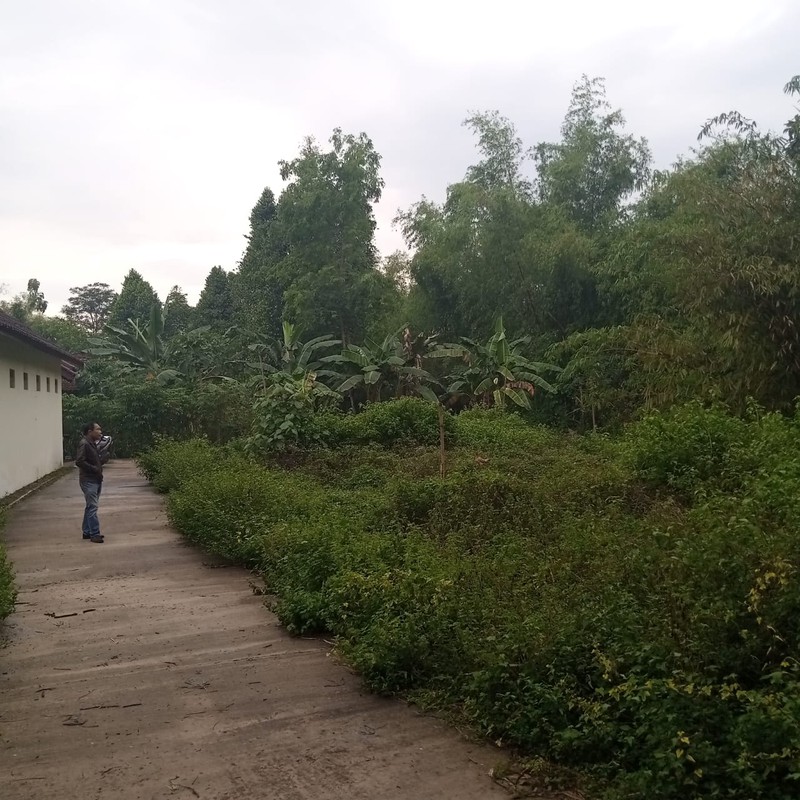 Tanah Pekarangan Hook Luas 1.363 Meter Persegi Di Sentra Berbah, Sleman