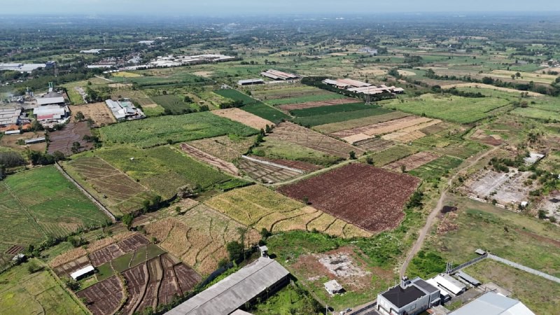 Jual Tanah Industri Zona Merah di Pasuruan Jawa Timur - Luas 14,25 Ha Harga Murah Purwosari
