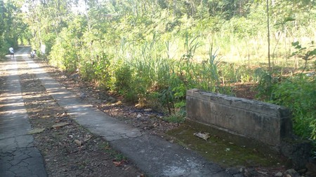 Jual Tanah Pekarangan Luas 1.777 Meter Persegi Pinggir Jalan Utama Karangmojo, Dekat Goa Pindul