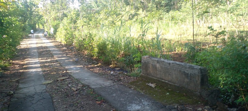 Jual Tanah Pekarangan Luas 1.777 Meter Persegi Pinggir Jalan Utama Karangmojo, Dekat Goa Pindul