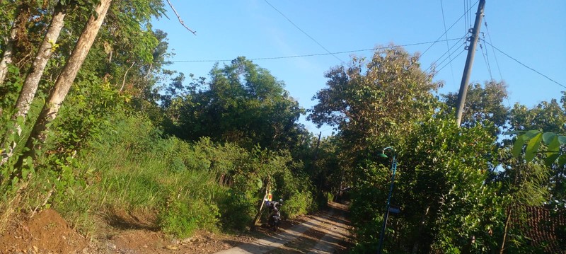 Jual Tanah Pekarangan Luas 1.777 Meter Persegi Pinggir Jalan Utama Karangmojo, Dekat Goa Pindul