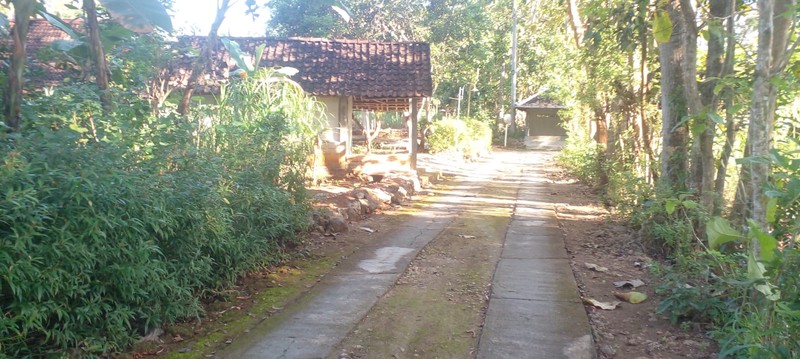 Jual Tanah Pekarangan Luas 1.777 Meter Persegi Pinggir Jalan Utama Karangmojo, Dekat Goa Pindul