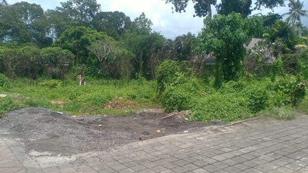Land Leasehold In Great Area Tiying Tutul Bali