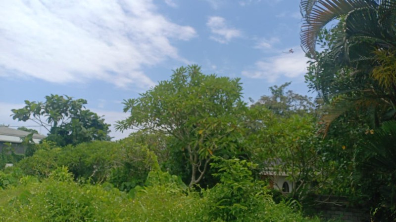 Land Leasehold In Great Area Tiying Tutul Bali