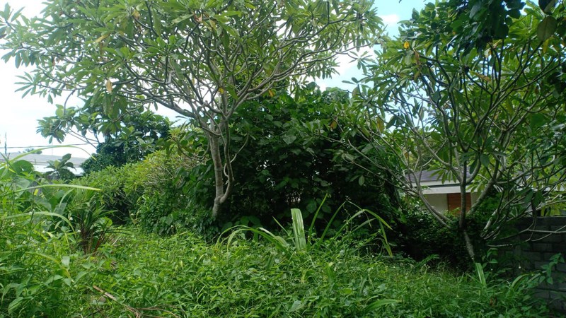 Land Leasehold In Great Area Tiying Tutul Bali