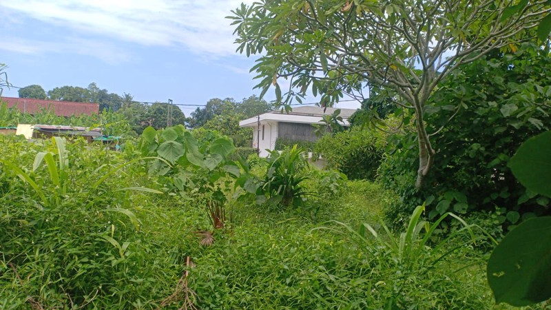 Land Leasehold In Great Area Tiying Tutul Bali