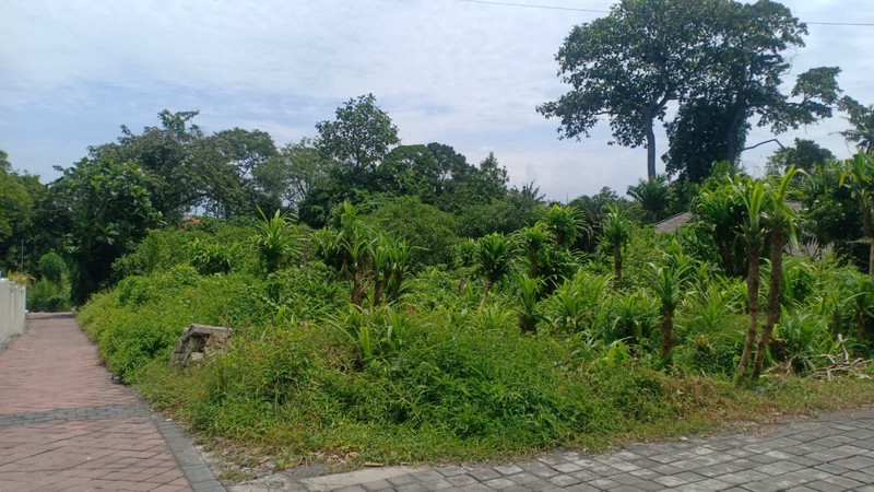 Land Leasehold In Great Area Tiying Tutul Bali