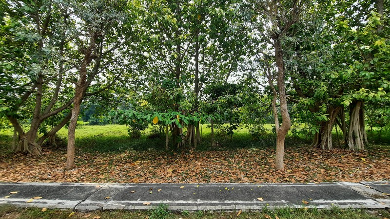 KAVLING RESIDENTIAL SIAP BANGUN DI LOKASI YANG NYAMAN DAN STRATEGIS PINGGIR LAPANGAN GOLF JABABEKA CIKARANG