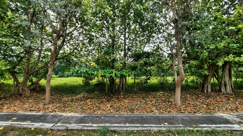 KAVLING RESIDENTIAL SIAP BANGUN DI LOKASI YANG NYAMAN DAN STRATEGIS PINGGIR LAPANGAN GOLF JABABEKA CIKARANG