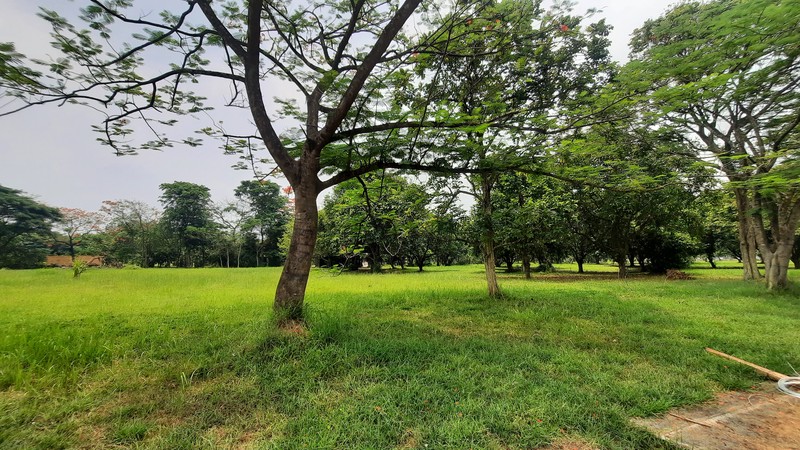 KAVLING RESIDENTIAL SIAP BANGUN DI LOKASI YANG NYAMAN DAN STRATEGIS DEKAT LAPANGAN GOLF JABABEKA CIKARANG