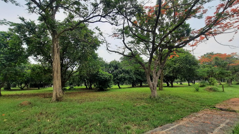 KAVLING RESIDENTIAL SIAP BANGUN DI LOKASI YANG NYAMAN DAN STRATEGIS DEKAT LAPANGAN GOLF JABABEKA CIKARANG